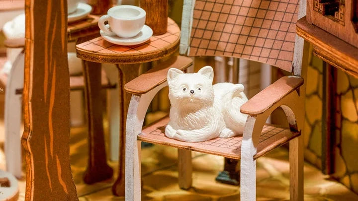 Un chat sur sa chaise, un autre sur les pavés