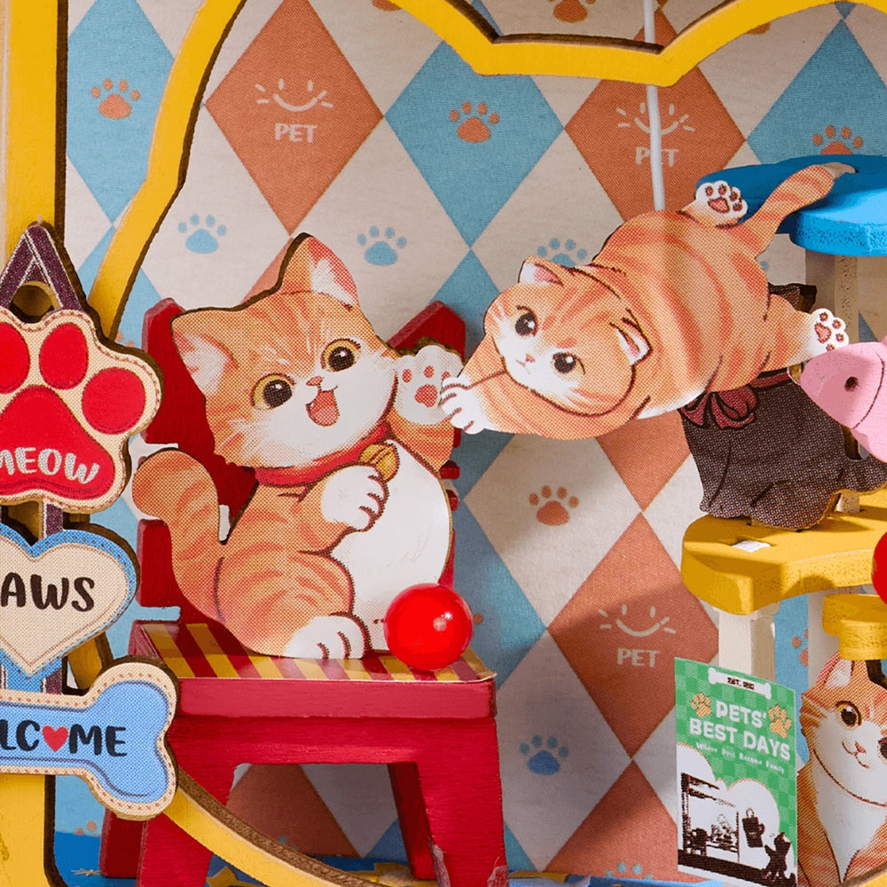 Des chats en vitrine et des chocolats