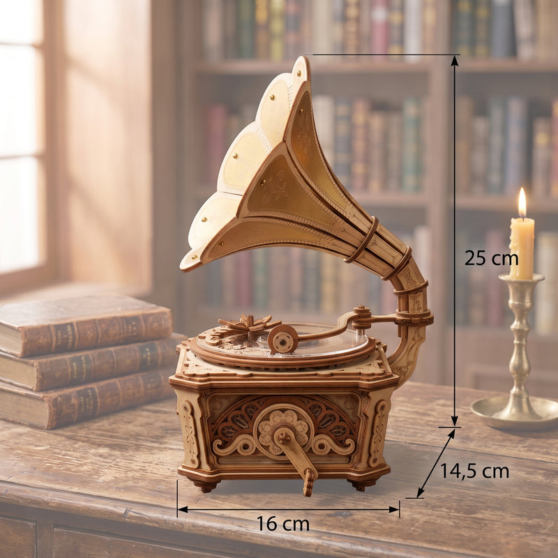 Dimensions du modèle assemblé
