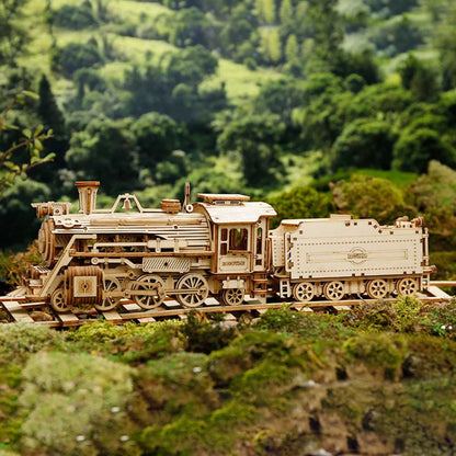 Locomotive à vapeur en bois et son tender sur une voie dans un paysage vert