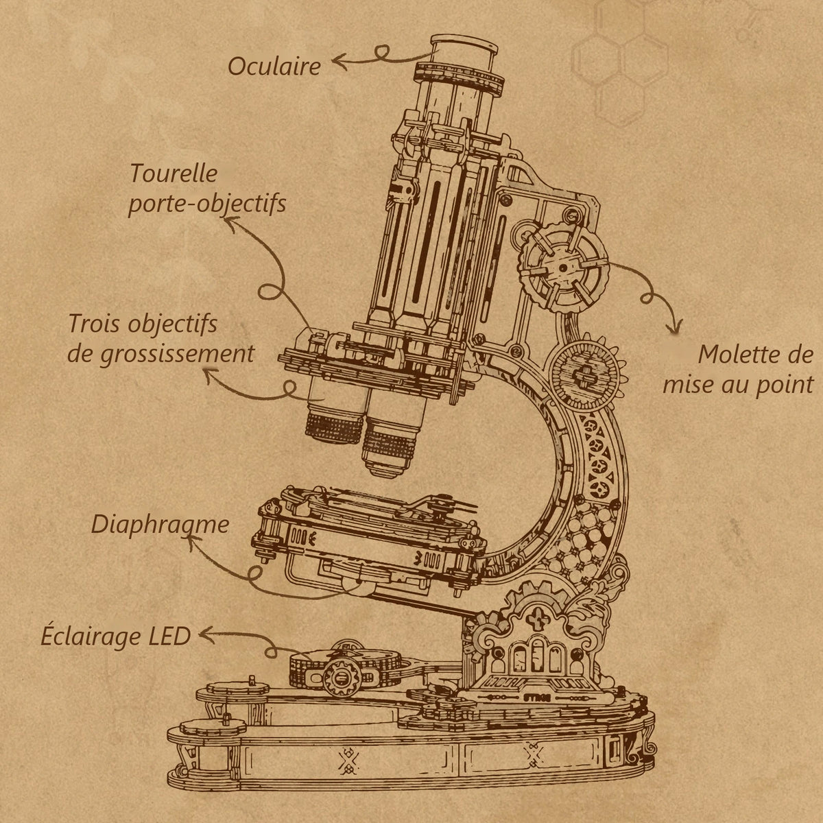 Schéma légendé du microscope vintage puzzle 3D : oculaire, tourelle, objectifs, diaphragme, éclairage LED